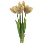 Deko Tulpenbund LANEA, champagner, 30cm, Ø15cm