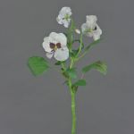 Dekozweig Stiefmütterchen SIANIE, weiß-burgunderrot, 35cm, Ø5-6,5cm