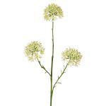 Dekozweig Allium ALIKIO, weiß, 65cm, Ø7cm