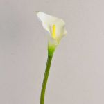 Künstliche Calla SUSANA, weiß, 70cm, 8x12cm