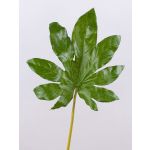 Künstliches Aralienblatt SALVATORE, grün, 70cm