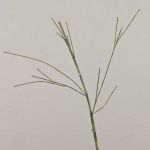 Künstlicher Bambuszweig HARUTO, 95cm