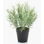 Künstliche Küchenkräuter Wilder Rosmarin WHOOPI im Dekotopf, grün, 25cm