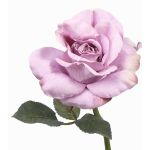 Kunstblume Rose CIAH, helllila, 30cm, Ø13cm