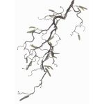 Kunst Haselnusszweig XANCHO mit Kätzchen, braun, 65cm, Ø0,5cm