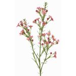 Dekozweig Wachsblume FRINDALS, dunkelrosa, 65cm, Ø1,5-2cm