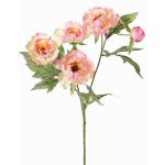 Kunstzweig Pfingstrose LARDUAN, Eco Collection, rosa-weiß, 60cm, Ø7cm
