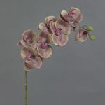 Künstliche Phalaenopsis Orchidee LARDUEN, violett-grün, 75cm, Ø10cm