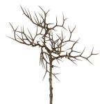 Kunstzweig Christusdorn SPROLI, braun, 45cm