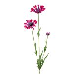 Deko Zweig Margerite NIELAY, burgunderrot, 65cm