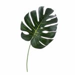Kunstblatt Philodendron Monstera Deliciosa UMBERTO, 55cm