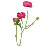 Kunstblumen Zweig Ranunkel JIXIANG, pink, 50cm