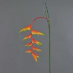 Dekoblume Heliconia Blüte MEIHUA, orange-gelb-grün, 95cm, Ø30cm