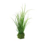 Deko Gras Lampenputzergras WEILIN auf Grasballen, grün, 35cm