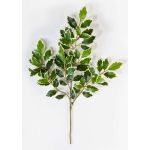 Künstlicher Ficus Benjamini Zweig AJITH, grün-weiß, 45cm