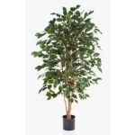 Künstlicher Ficus Benjamina THIAGO, Naturstämme, grün, 120cm