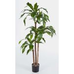 Kunstpflanze Dracaena Fragrans LAURA, Echtstämme, grün, 120cm