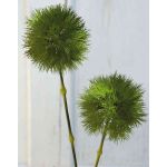 Künstliche Wollgras Rispe ZORRO, weiß-grün, 45cm