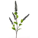 Dekozweig Kermesbeere SULIYA, Beeren, schwarz-violett, 95cm