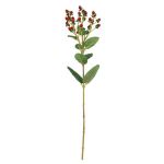 Kunst Zweig Johanniskraut TAVIRA mit Früchten, rot, 65cm
