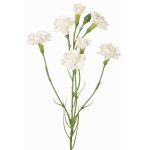 Kunstblumenzweig Nelke PIARA, weiß, 60cm, Ø3-5cm