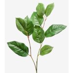 Dekozweig Apfelbaum KONSTANTIN, grün, 75cm