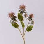 Plastik Färberdistel Blumen Zweig VALDISOLI, Trockenoptik, altrosa, 55cm
