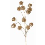 Deko Physalis Zweig DUGONG mit Früchten, gold, 90cm