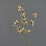 Künstlicher Zaubernuss Zweig ORAFA mit Blüten, beige, 80cm, Ø4-8cm