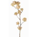 Künstlicher Physalis Zweig AINOS, Früchte, Glitzer, creme, 80cm