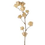 Künstlicher Physalis Zweig AINOS, Früchte, Glitzer, creme, 80cm
