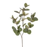 Kunstzweig Eukalyptus EMMENDA, grün, 80cm