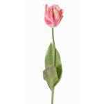 Kunstblume Papageientulpe UAKARI, rosa-creme-grün, 65cm, Ø6cm