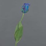 Kunstblume Papageientulpe UAKARI, blau-grün-lila, 65cm, Ø6cm