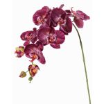 Dekozweig Phalaenopsis Orchidee WESA, dunkelviolett-weiß, 90cm, Ø11-12,5cm