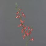 Künstlicher Cattleya Orchideenzweig TRASSA, rot-orange, 80cm, Ø4-8cm