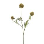 Dekozweig Stern Scabiosa RANIK, grün, 70cm