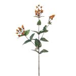 Kunstzweig Johanniskraut GONIALA mit Früchten, orange, 60cm