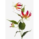 Kunstblume Gloriosa FUJITA, pink-gelb, 80cm, Ø15cm