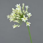 Deko Kunstblume Agapanthus PHILINA, creme, 75cm, Ø14cm