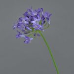 Deko Kunstblume Agapanthus PHILINA, lila, 75cm, Ø14cm