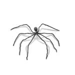 Halloween Dekoration Spinne TREEVA, natürlich aussehend, grau, 230x200x15cm