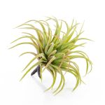 Künstliche Tillandsie Ionantha PENNY, Steckstab, grün-rot, 12cm, Ø10cm