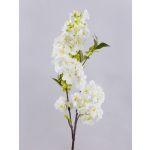 Kunstblumen Kirschblütenzweig MATSUDA mit Blüten, creme-weiß, 80cm, Ø6-11cm