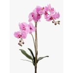 Kunstorchidee Phalaenopsis CANDIDA auf Steckstab, rosa, 65cm