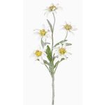 Künstliches Alpen Edelweiß SOPHIA, weiß, 40cm, Ø5-6cm