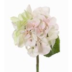 Hortensien Kunstblume CHIDORI, creme-rosa-grün, 30cm, Ø13cm