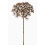 Kunststoff Bärenklau ANSARI, Trockenoptik, braun, 80cm, Ø22cm