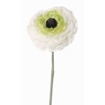 Künstliche Ranunkel ALIMA, creme-grün, 35cm, Ø8cm