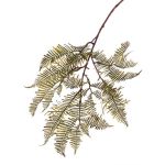 Kunstzweig Boston Farn KENNET, grün, 90cm